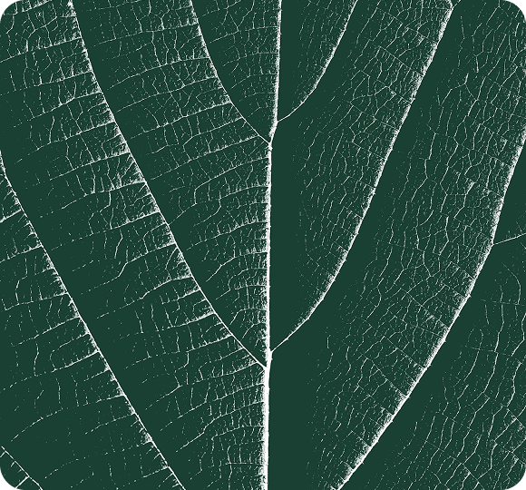 Innovative Design Services