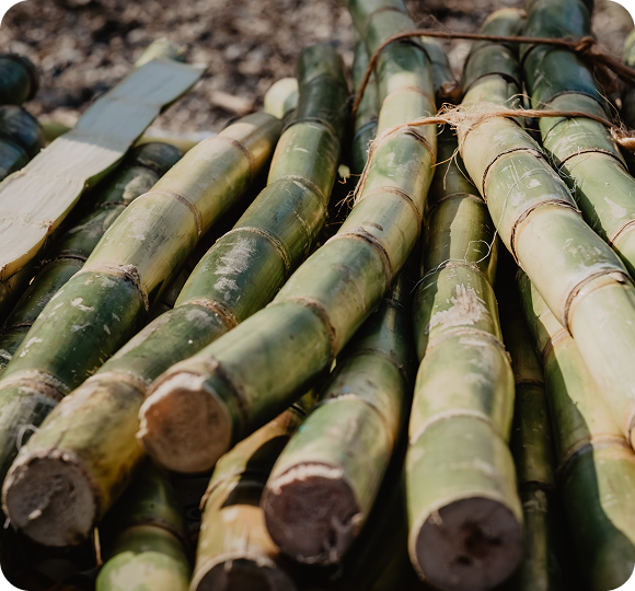 Eco-Friendly Materials